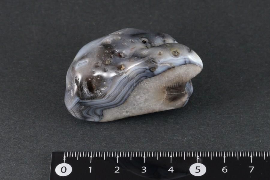 ܥĥʥ  ᤭ 82g  - ¾1