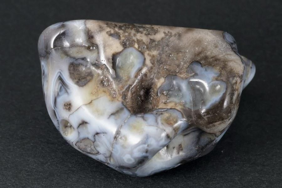 ܥĥʥ  ᤭ 82g  - ¾4