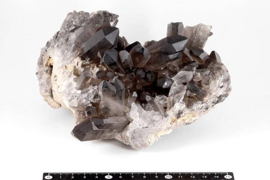 ⡼ 饹 1.8kg  - ¾1