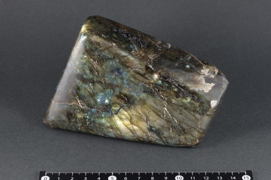 ֥ɥ饤  ᤭ 787g  - ¾1