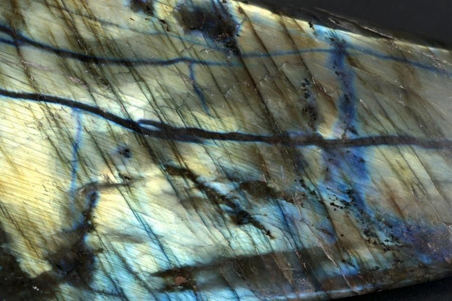 ֥ɥ饤  ᤭ 787g  - ¾4