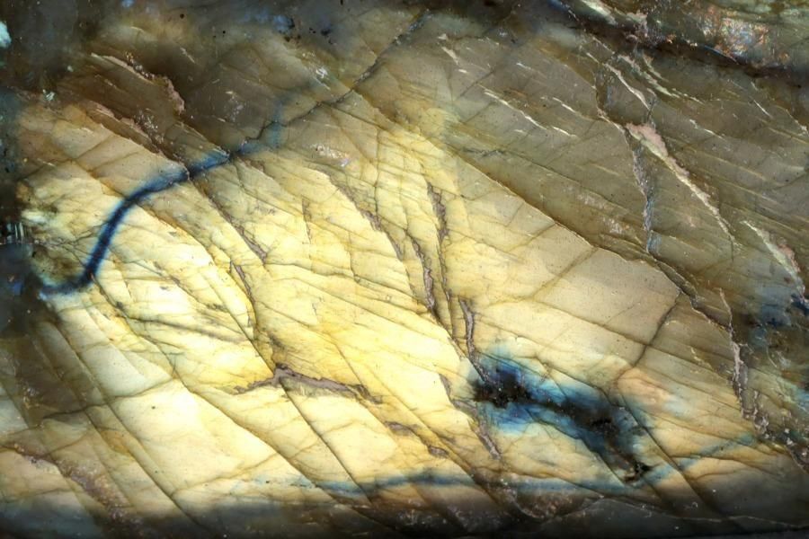 ֥ɥ饤  ᤭ 787g  - ¾5