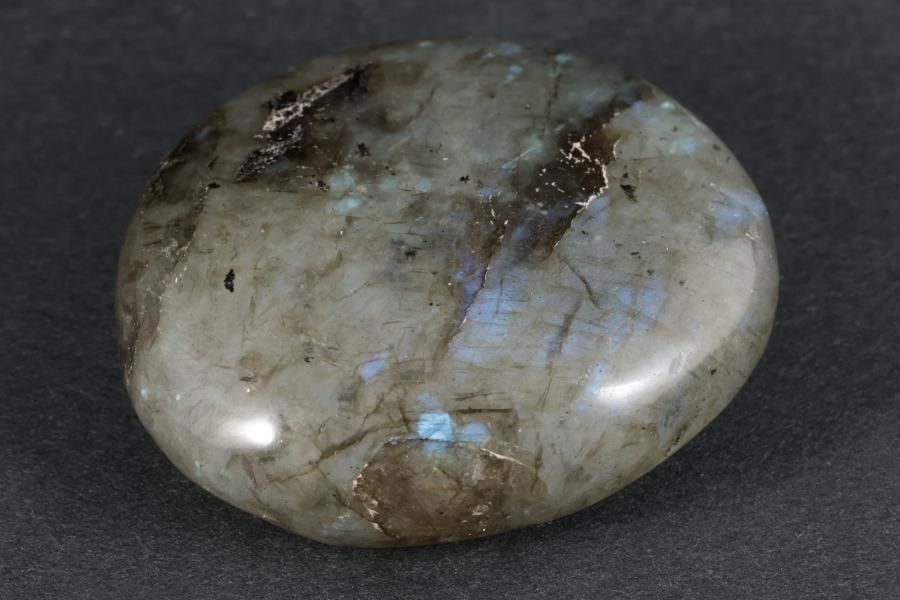 ֥ɥ饤  ᤭ 47.8g  - ¾5