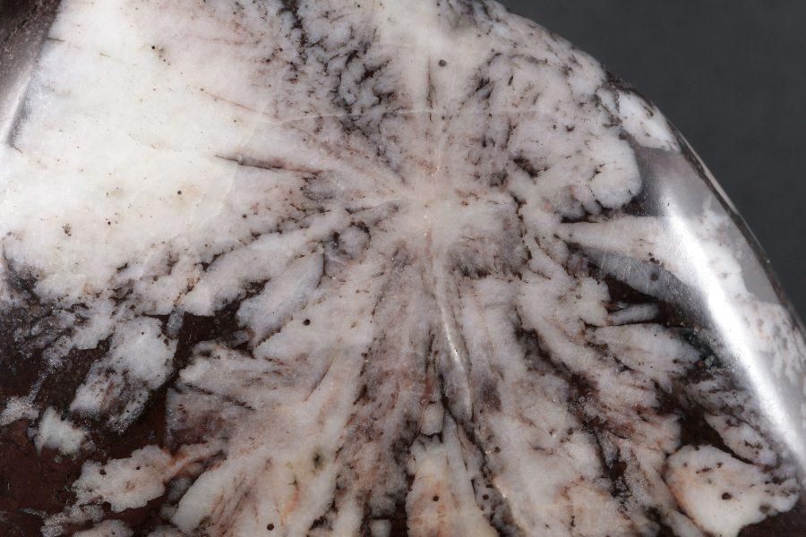 根尾谷産 菊花石 497g 国産｜天然石 通販キラリ石