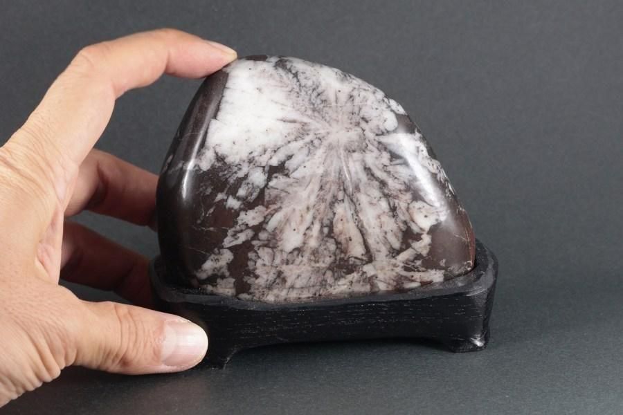 根尾谷菊花石 根尾谷の菊花石nk201は特別天然記念物の菊花石です。