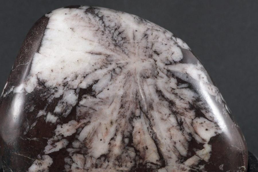 根尾谷産 菊花石 497g 国産｜天然石 通販キラリ石