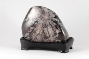 菊花石｜天然石 原石 通販のキラリ石