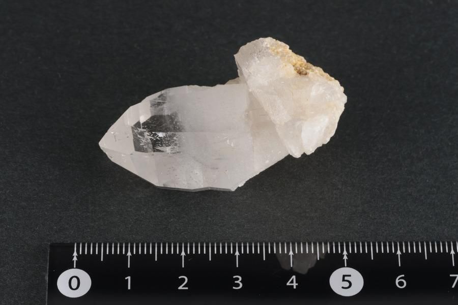 ҥޥ ͡ҥޡ뻺徽 뾽 28.5g  - ¾1