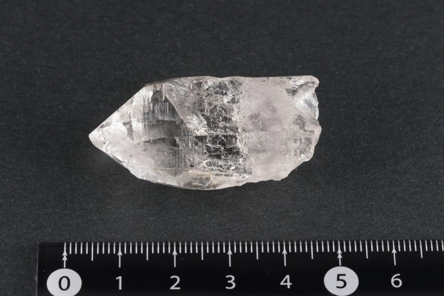 ҥޥ ͡ҥޡ뻺徽 뾽 19.4g  - ¾1