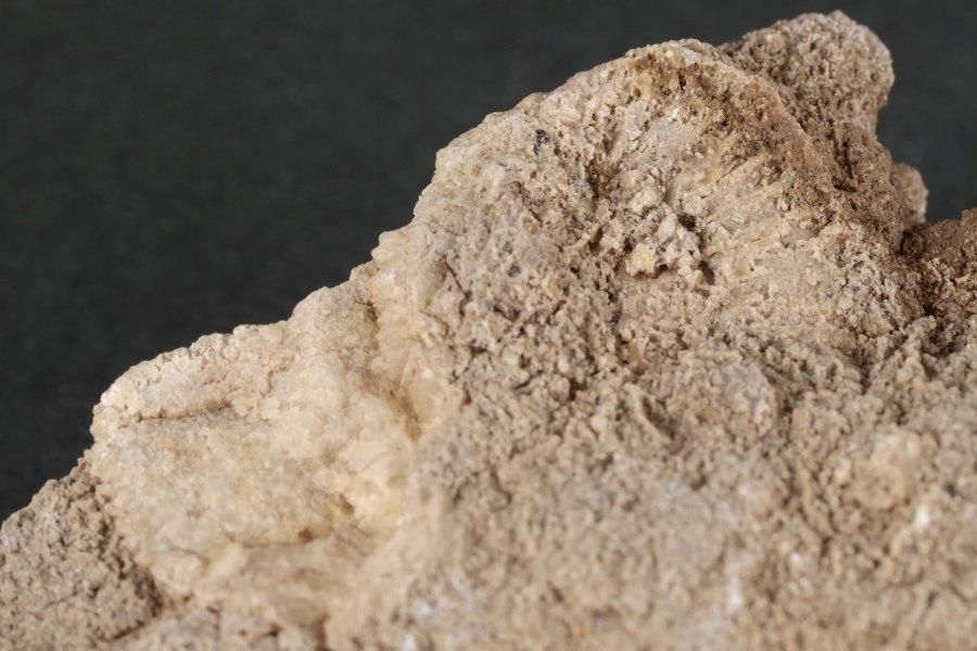 ƥꥪ饹 ʥȲ 110g  - ¾5