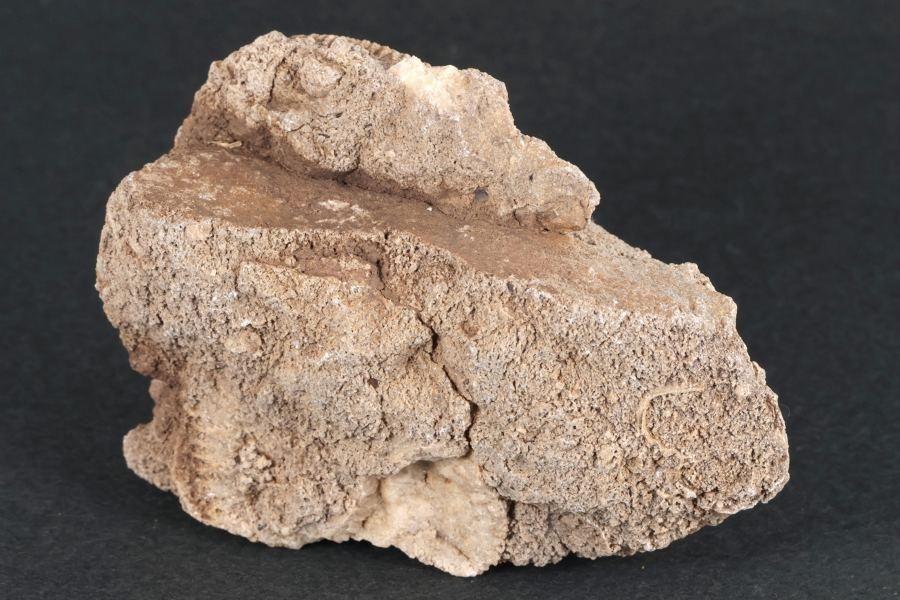 ƥꥪ饹 ʥȲ 110g  - ¾7