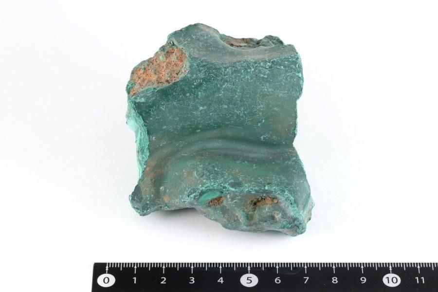 �ޥ饫���� (������) ���� 370g  - ����¾1����