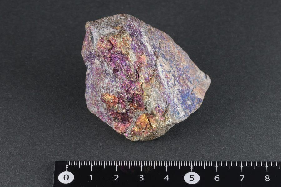 �ܥ�ʥ��� (��Ƽ��) ���� 111g  - ����¾1����