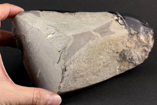 ウルグアイ産アメジスト クラスター 1.3kg｜天然石 通販キラリ石
