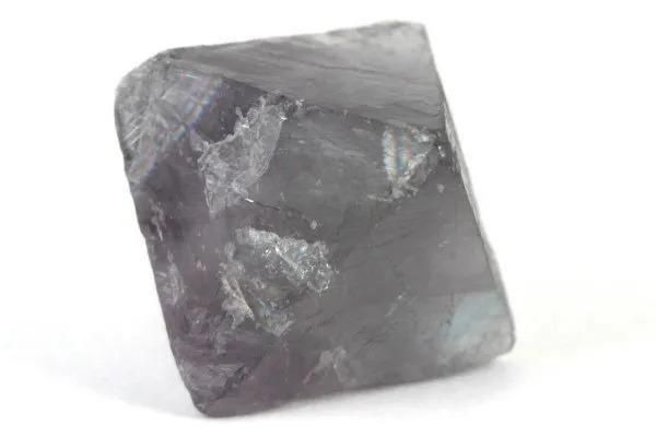 ե饤 Ȭθ 21.0g ᥤ