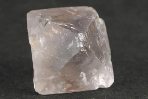 ե饤 Ȭθ 19.0g ᥤ