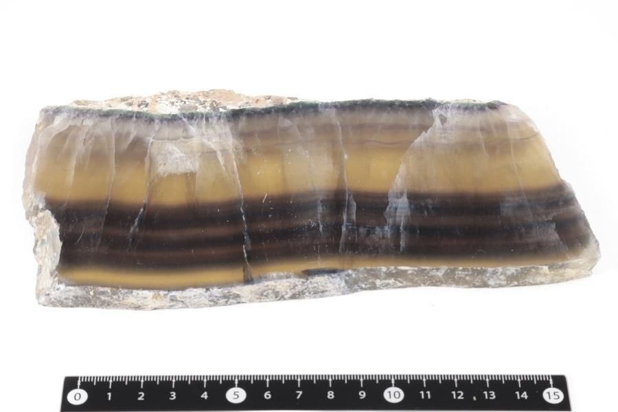 ե饤 饤 572g - ¾1