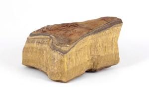   160g<img class='new_mark_img2' src='https://img.shop-pro.jp/img/new/icons15.gif' style='border:none;display:inline;margin:0px;padding:0px;width:auto;' />ξʲ