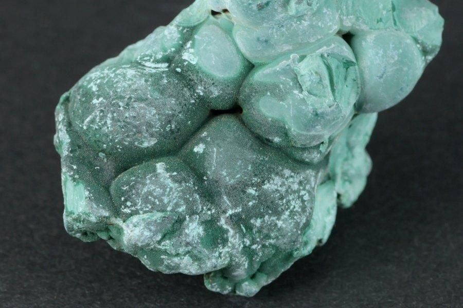 �ޥ饫���� (������) ���� 35.3g  - ����¾4����