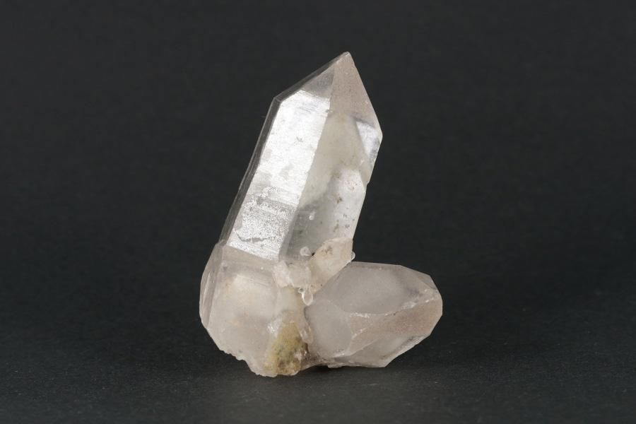 ҥޥ ޥ˥ϡ뻺եȥ徽 饹 47.5g  ᥤ