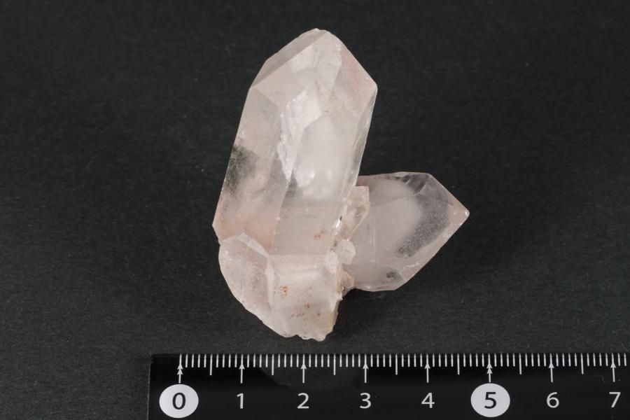 ҥޥ ޥ˥ϡ뻺եȥ徽 饹 47.5g  - ¾1