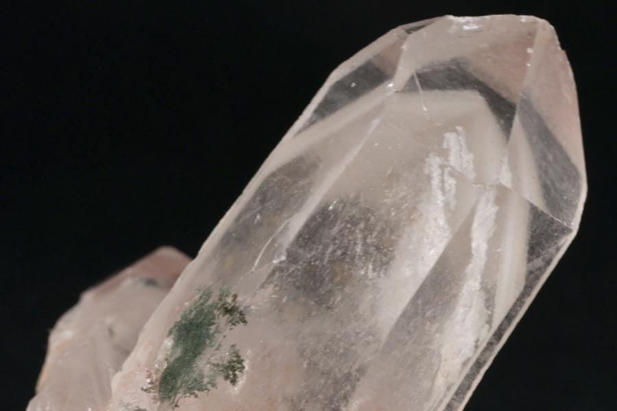 ҥޥ ޥ˥ϡ뻺եȥ徽 饹 47.5g  - ¾2