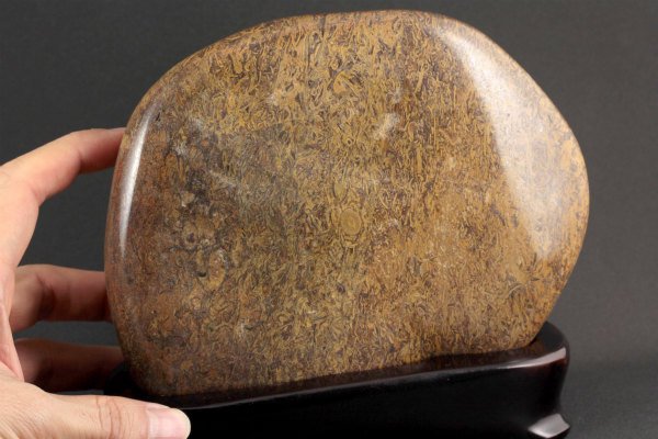 フォッシルジャスパー 置石 1.4kg｜天然石 原石 通販のキラリ石