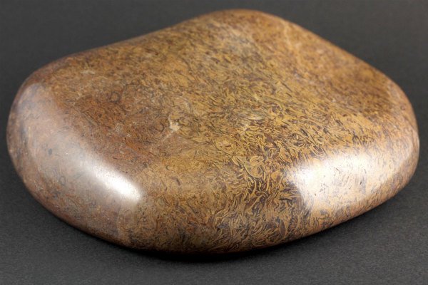 フォッシルジャスパー 置石 1.4kg｜天然石 原石 通販のキラリ石