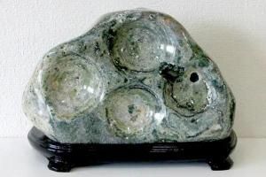 オーシャンジャスパー 原石 1.3kg｜天然石 原石 通販のキラリ石