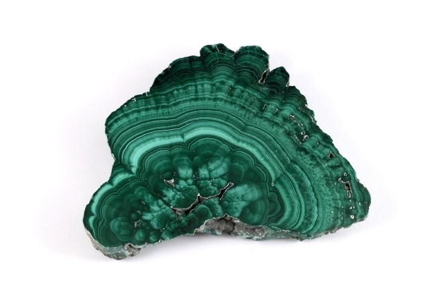 ޥ饫 ()  ᤭ 39.7g  ᥤ