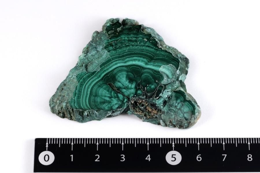 ޥ饫 ()  ᤭ 39.7g  - ¾1