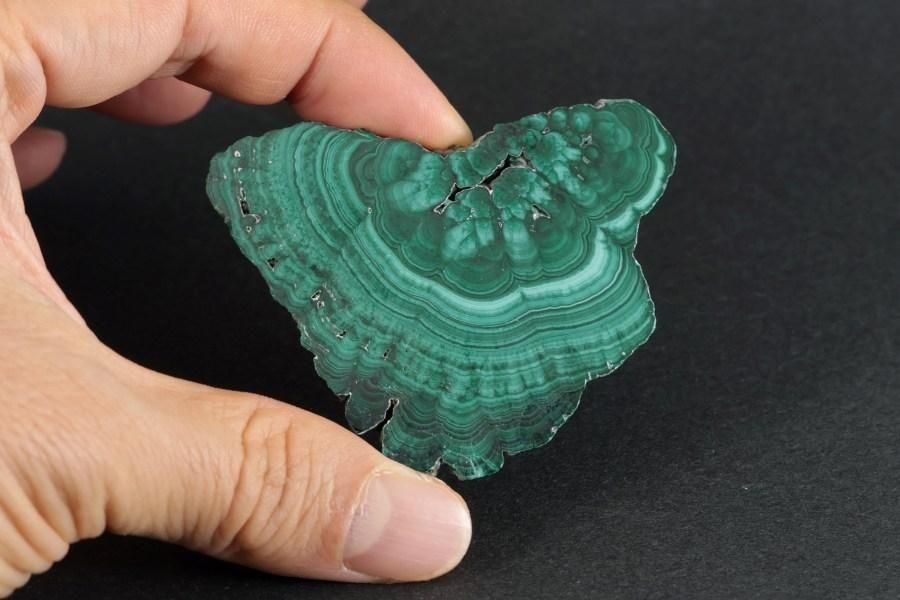 ޥ饫 ()  ᤭ 39.7g  - ¾3