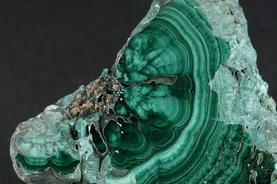 ޥ饫 ()  ᤭ 39.7g  - ¾5