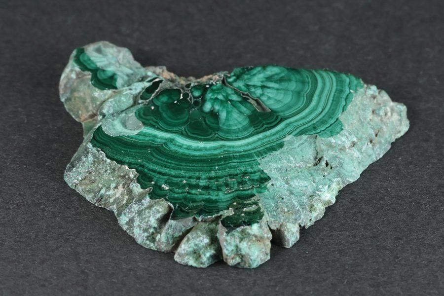 ޥ饫 ()  ᤭ 39.7g  - ¾6