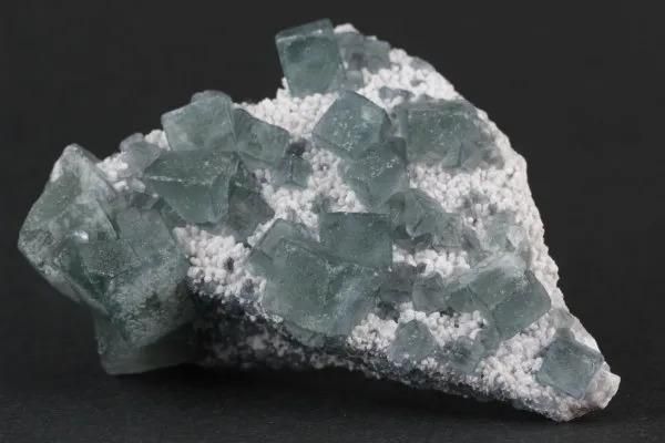 ǥ֥롼ե饤  32.4g ᥤ