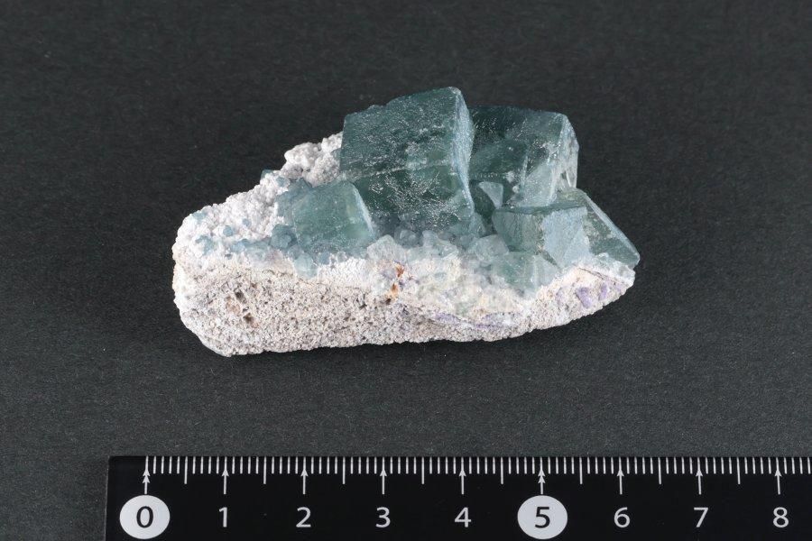 ǥ֥롼ե饤  50g - ¾1