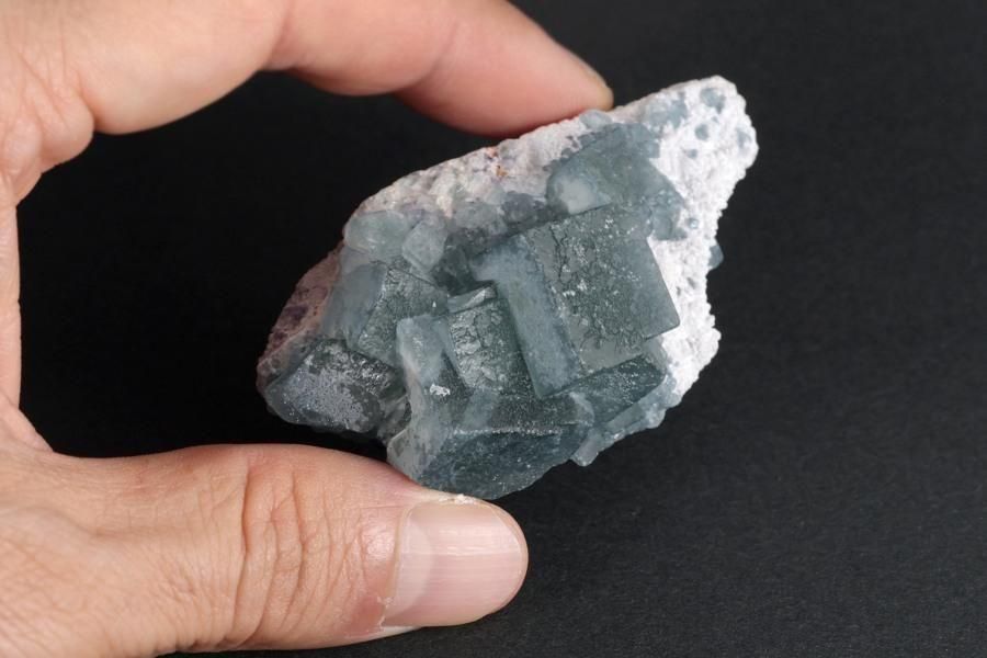 ǥ֥롼ե饤  50g - ¾3