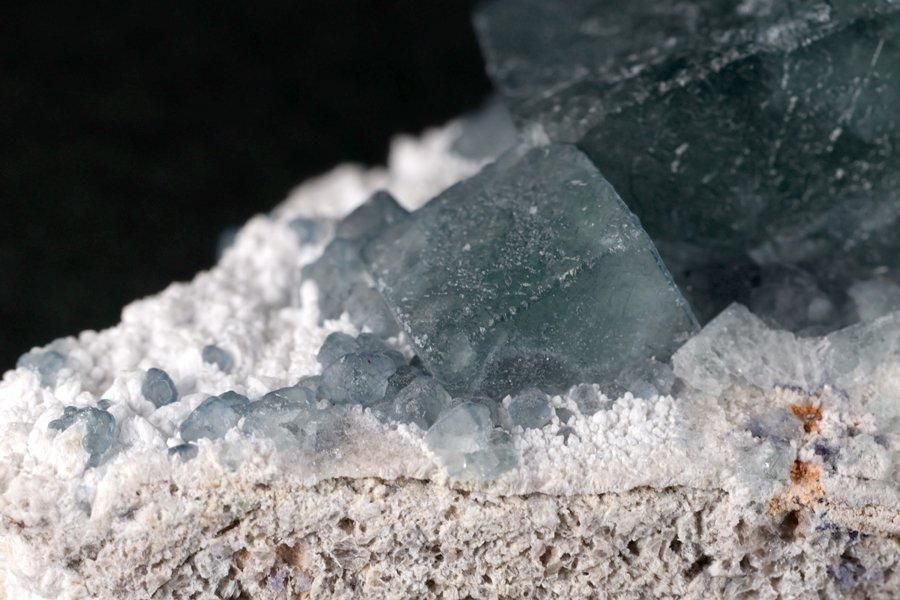 ǥ֥롼ե饤  50g - ¾4