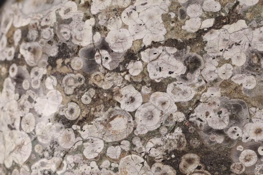 白山紋石 磨き石 3.2kg - その他5枚目