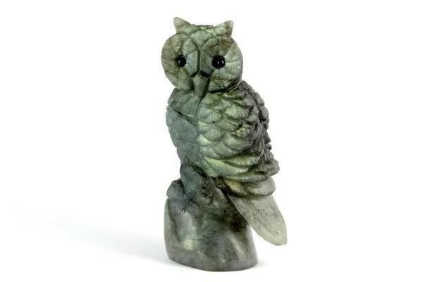 ֥ɥ饤 Ħ եʪ 128g ᥤ