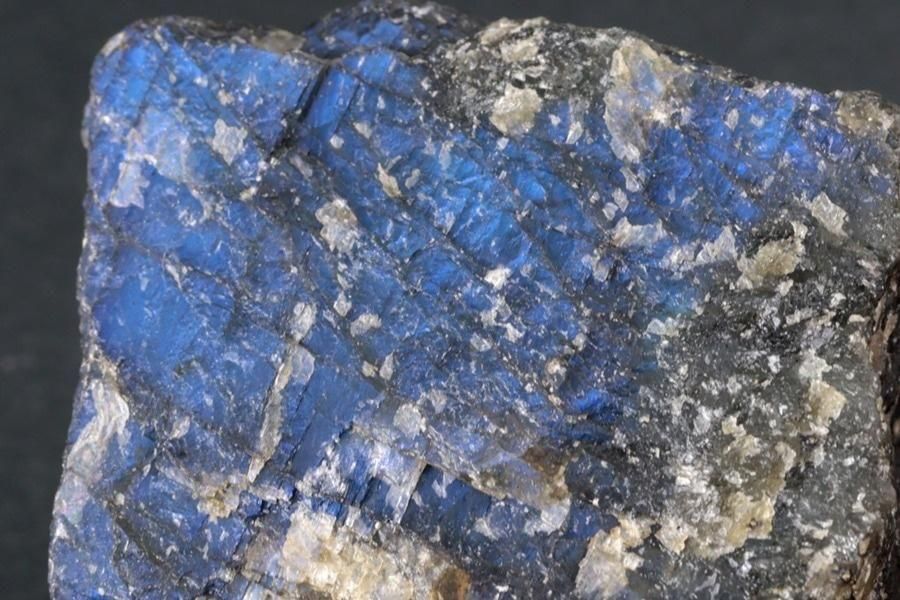 ��֥�ɥ饤�� ���� 227g  - ����¾2����