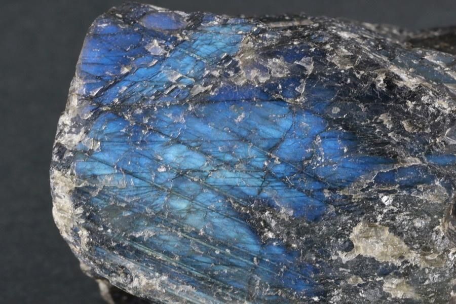 ��֥�ɥ饤�� ���� 227g  - ����¾4����