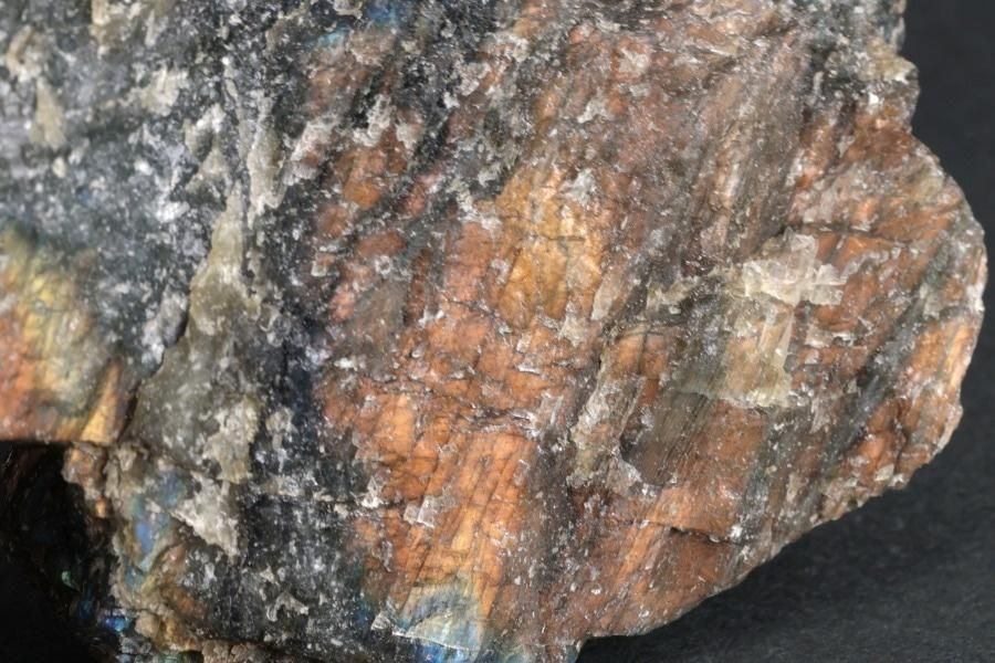 ֥ɥ饤  146g  - ¾2