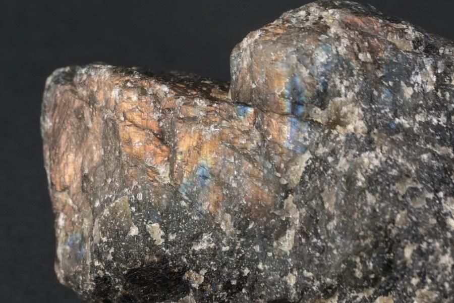 ֥ɥ饤  146g  - ¾4