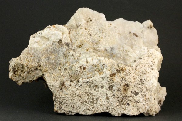 KO-60 コーラルアゲート 天然石 鉱物標本 鉱石 原石 - コレクション