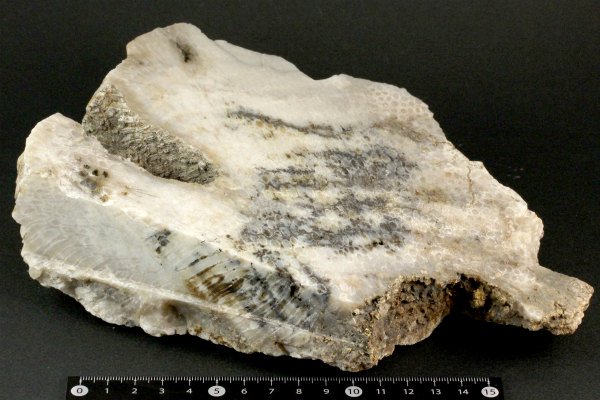 コーラルアゲート 原石 1.7kg｜天然石 原石 通販のキラリ石