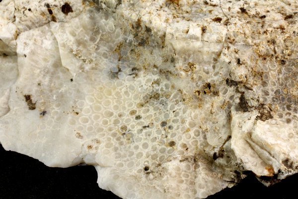 コーラルアゲート 原石 1.7kg｜天然石 原石 通販のキラリ石