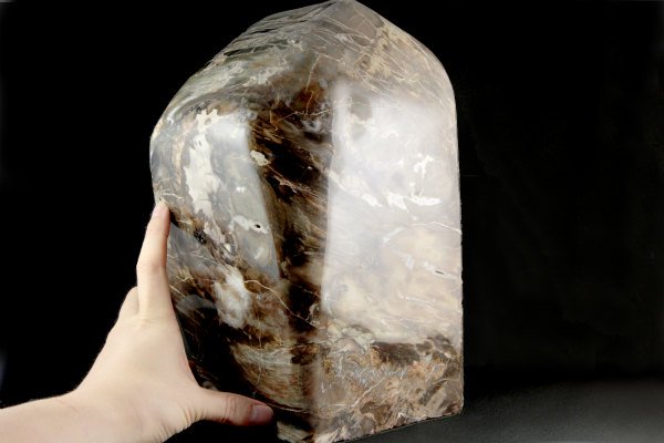 珪化木 原石 磨き 13.4kg｜天然石 原石 通販 キラリ石