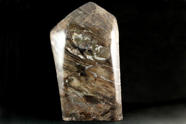 珪化木 原石 磨き 13.4kg｜天然石 原石 通販 キラリ石