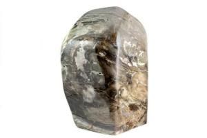 珪化木 超美品 20cm×5cm 625g 珪化木(木化石) 原石 磨き 211g｜天然石通販キラリ石